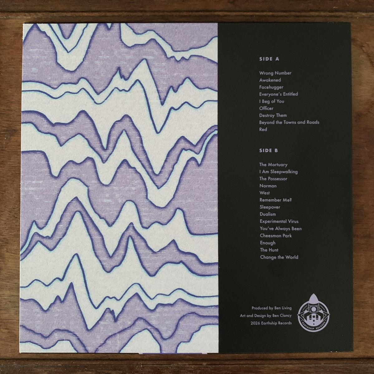 Video Visions Vinyl