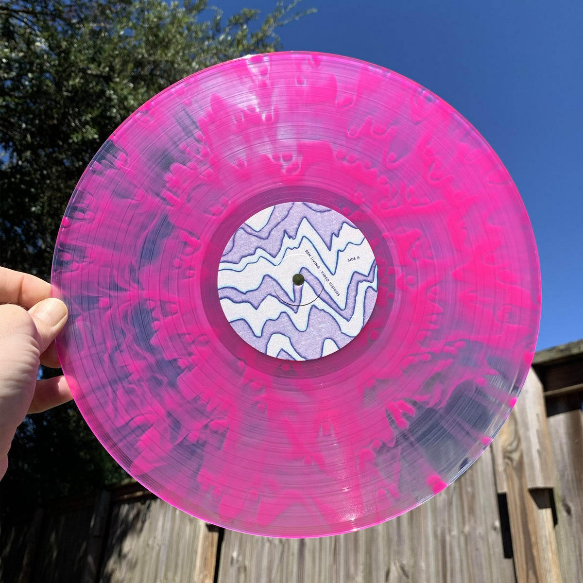 Video Visions Vinyl
