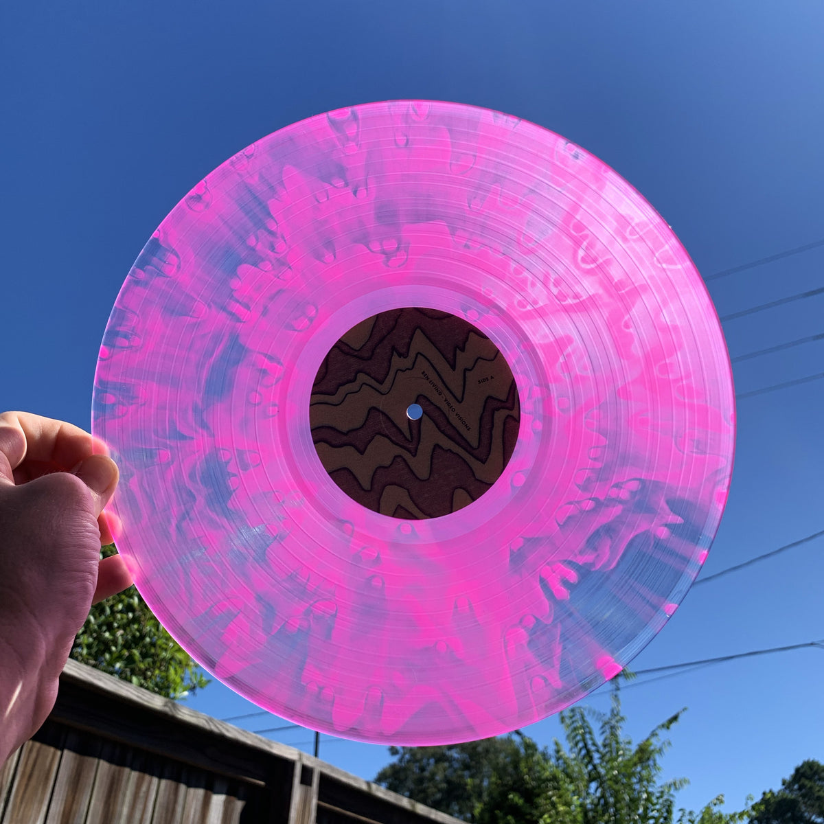 Video Visions Vinyl