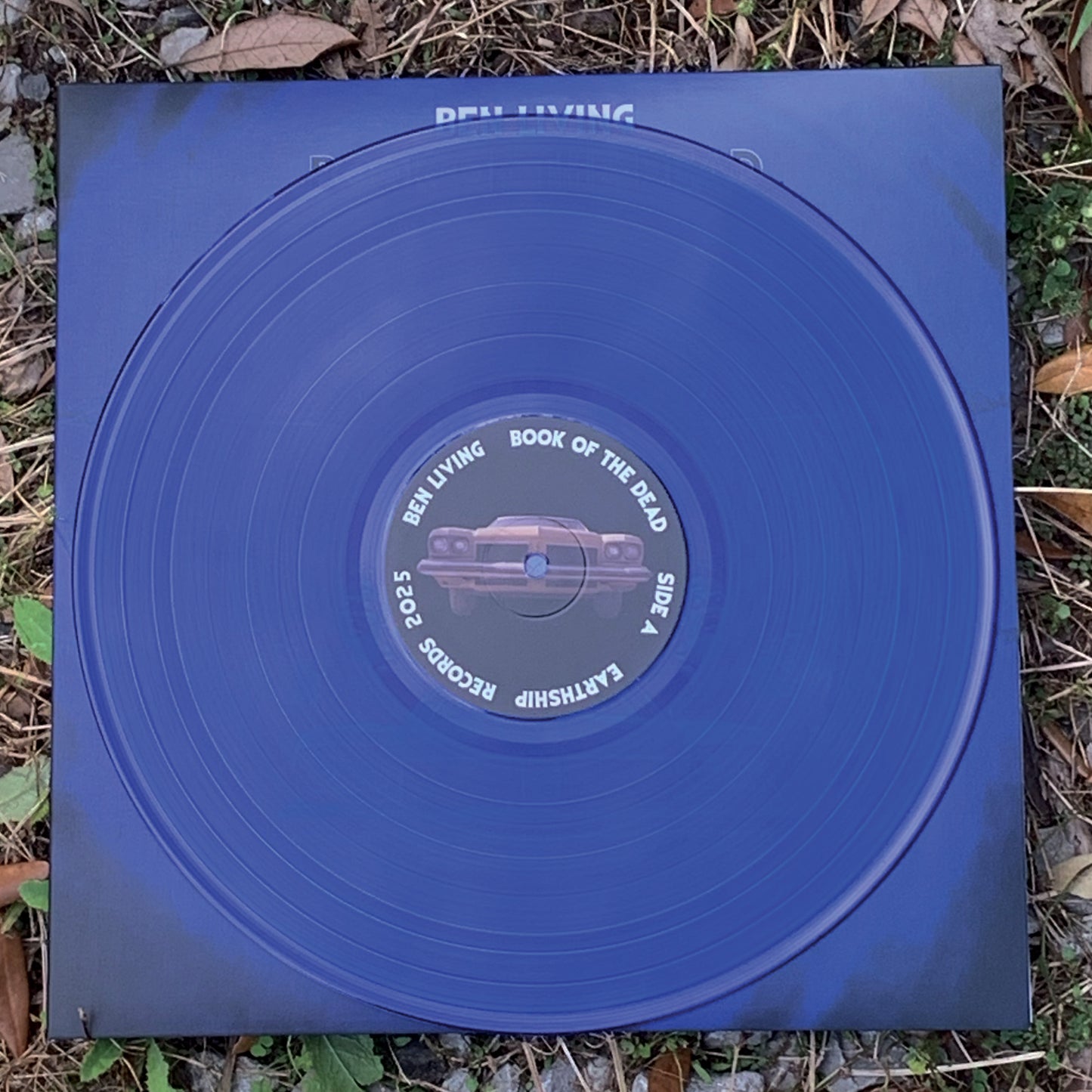 Book of The Dead Limited Edition Blue Vinyl