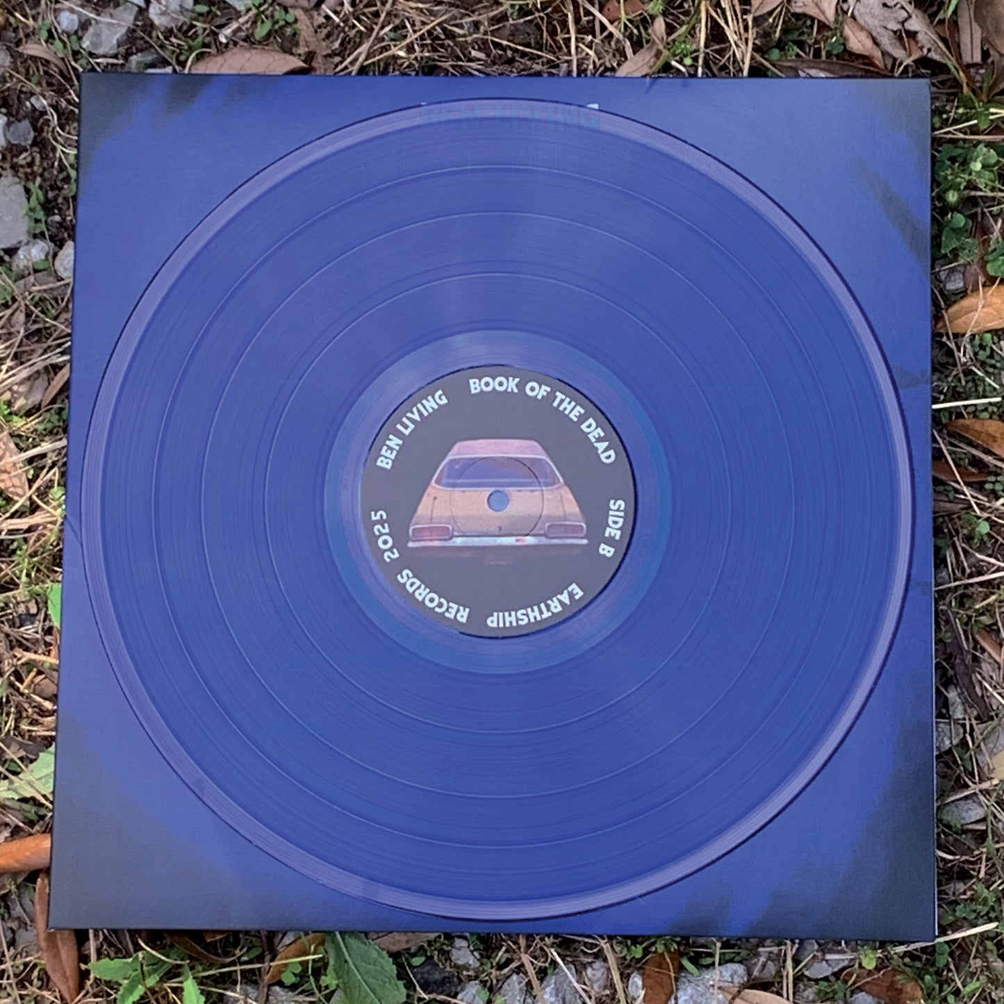 Book of The Dead Limited Edition Blue Vinyl